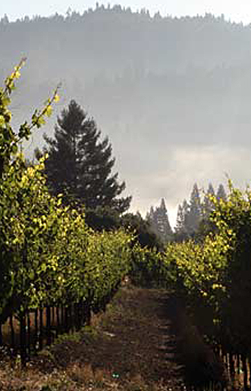 hartford winery